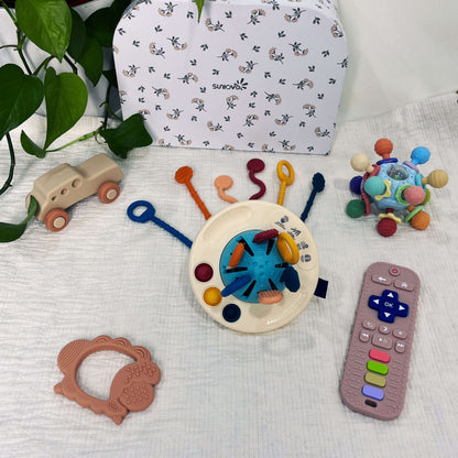 Teeny Explorers Teething Set(Mia)