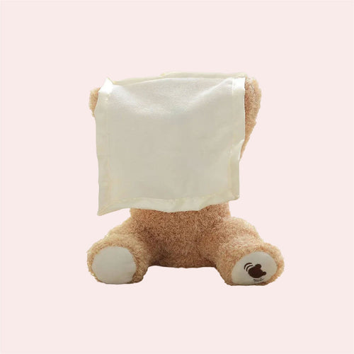 Hide and Seek Bear