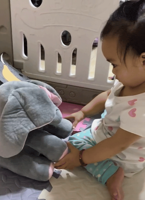 Interactive Peek-a-Boo Elephant Plush Toy - Educational Baby Toy for 6-18 Months