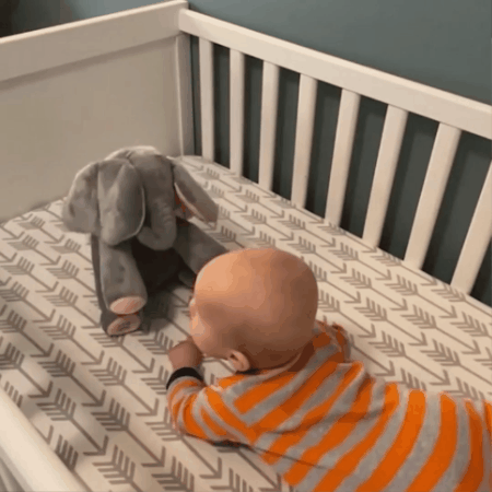 Interactive Peek-a-Boo Elephant Plush Toy - Educational Baby Toy for 6-18 Months