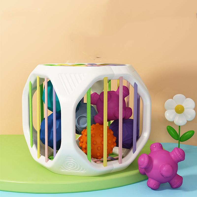 Shape Sorting Interactive Baby Toy